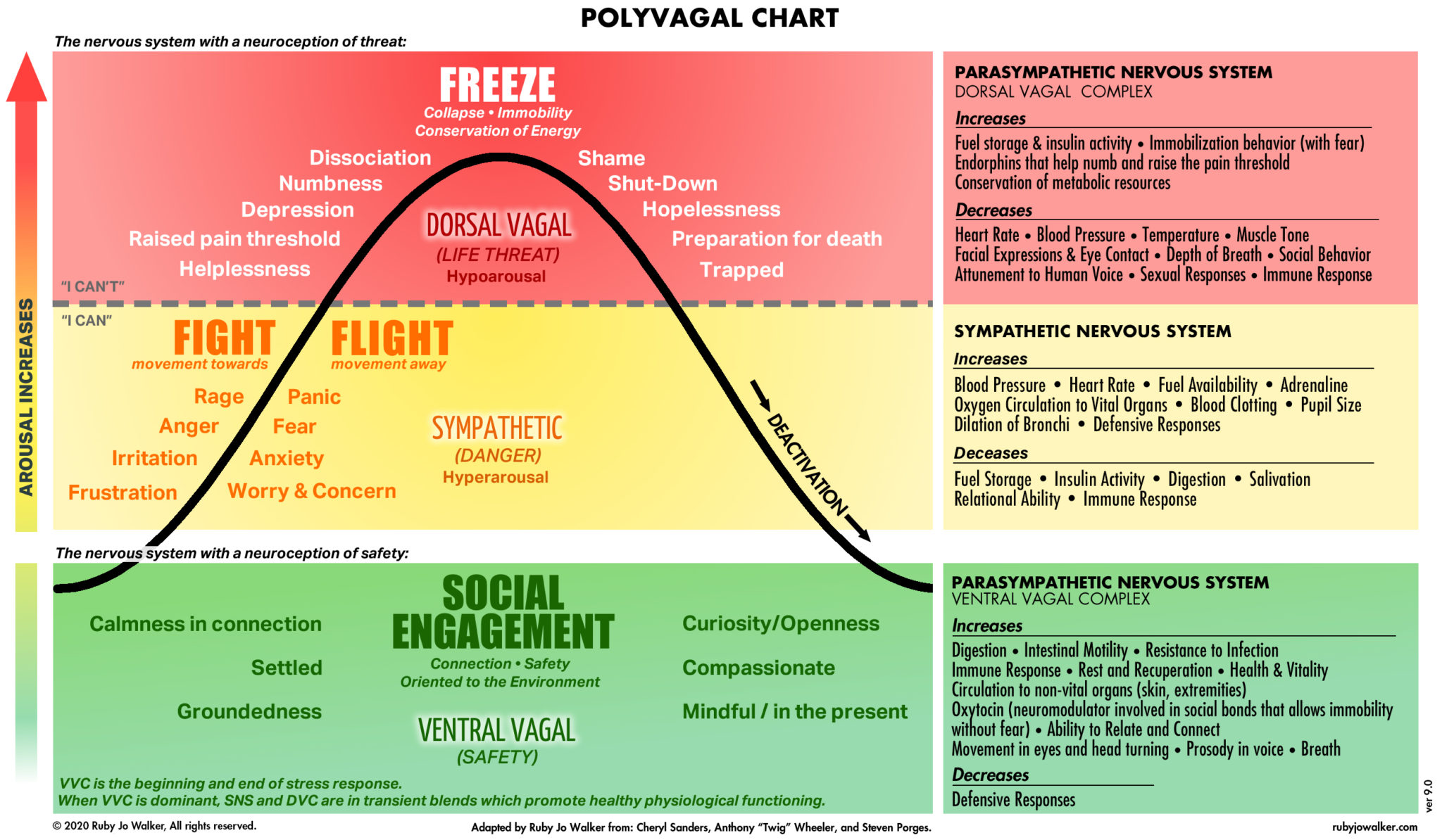 This is the Polyvagal Chart, developed by Dr. Stephen Porges in 1994